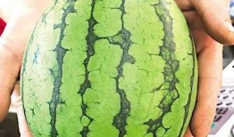 关于最近吃瓜,揭秘近期热门吃瓜事件背后的真相