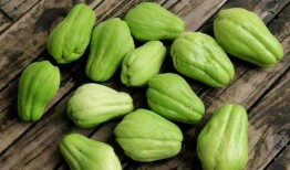 嫩瓜种子怎么吃,探索创意烹饪新境界