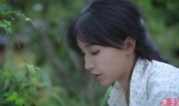 李子柒吃瓜事件,网络舆论的狂欢与反思