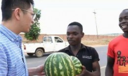 吃瓜人的后果,揭秘网络舆论的蝴蝶效应