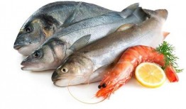 带你吃瓜奇葩鱼,带你探索奇特的“带你吃瓜奇葩鱼”世界