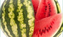 总助吃瓜,揭秘职场背后的八卦风云