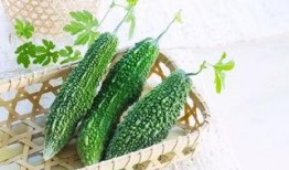 萤烛亭吃瓜,揭秘宫廷秘闻