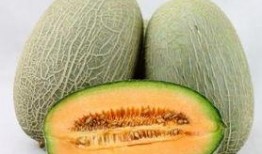 吃哈密瓜吃播,哈密瓜吃播，尽享夏日清新滋味