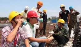 打不死的小强吃瓜,吃瓜群众眼中的娱乐圈风云