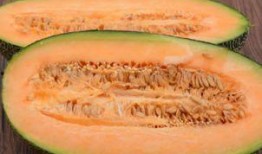 吃哈密瓜吃播,哈密瓜吃播，尽享夏日清新滋味