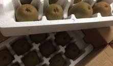 蒲江吃冰瓜,品味清凉，尽享冰瓜盛宴