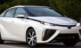 浙江丰田瓜怎么吃,浙江丰田瓜的多样食法探索