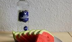 小孩吃醉瓜,揭秘小孩吃醉瓜的欢乐时光