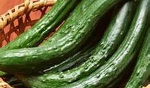 mt蜜糖吃瓜,揭秘网红吃瓜背后的甜蜜诱惑