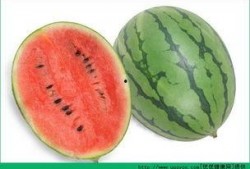 为什么有人吃瓜过敏