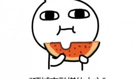 星野光头吃瓜,瓜田里的“吃瓜群众”