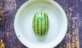 茶盘吃瓜,品味生活雅趣