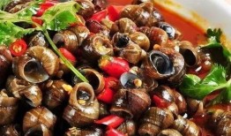 田螺吃小瓜虫,共生共荣的奇妙生态关系