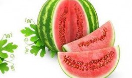 抢瓜论吃,揭秘瓜市中的社交经济学现象