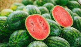 什么瓜吃不着,探寻生活中的趣味与哲理