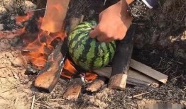 瓜哥吃瓜奇葩物品图片高清,揭秘那些令人瞠目结舌的吃瓜神器