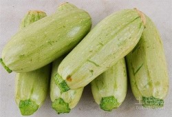 可以快速吃瓜吗