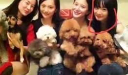 吃瓜姐妹头像,揭秘吃瓜姐妹头像背后的魅力