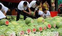 吃瓜队一员,揭秘吃瓜队一员的幕后故事