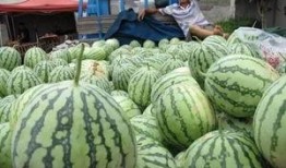 吃瓜群众绿幕图