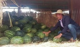 涛子吃昆明瓜,探寻地道美食的味蕾冒险