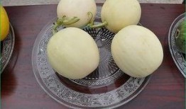 来月经可以吃田瓜吗,营养健康两不误”