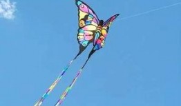 带你吃瓜野生风筝,带你领略“带你吃瓜野生风筝”的独特魅力