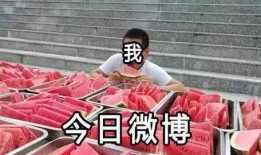 吃瓜 观众,吃瓜群众视角下的娱乐圈风云录