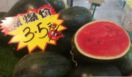 涛子吃昆明瓜,探寻地道美食的味蕾冒险