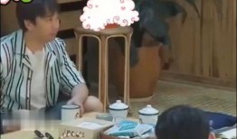 何老师吃的瓜,一场美食与文化的碰撞之旅