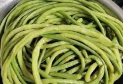 吃蛇瓜怎么保存冬天吃,美味延续，尽享冬日佳肴