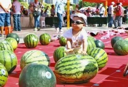 莱州沙河幼儿园吃瓜网站