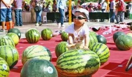 莱州沙河幼儿园吃瓜网站